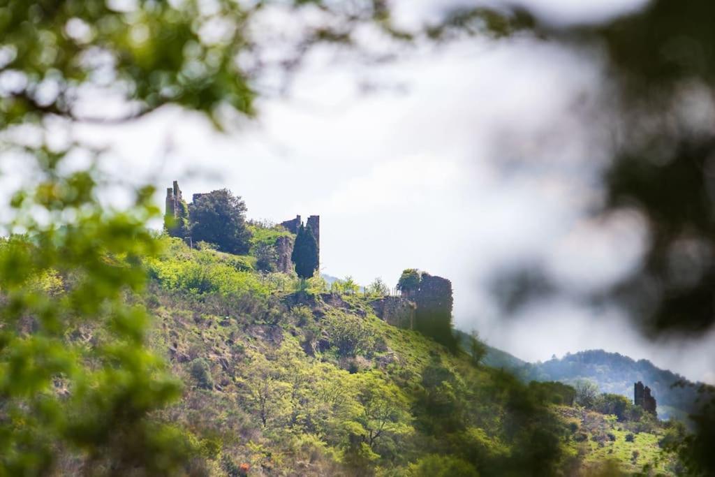 Villa Blanche, Contemporary, Cathars, Couiza, Carcassonne Esterno foto